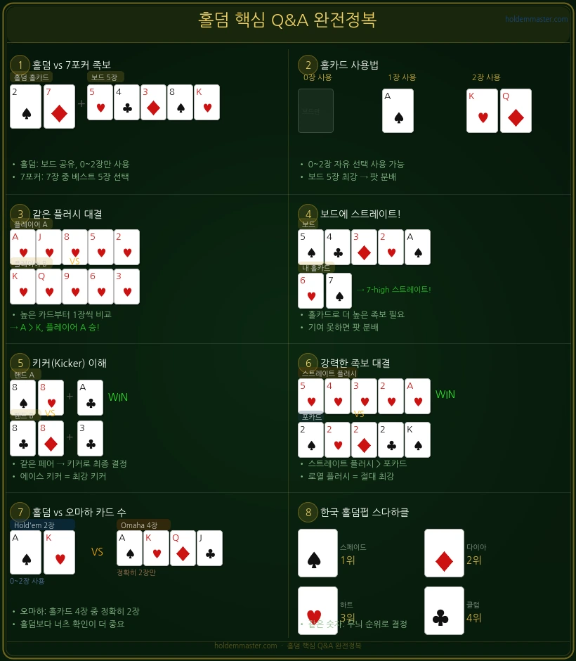 홀덤 핵심 Q&A 완전정복 — 8가지 자주 묻는 질문 인포그래픽