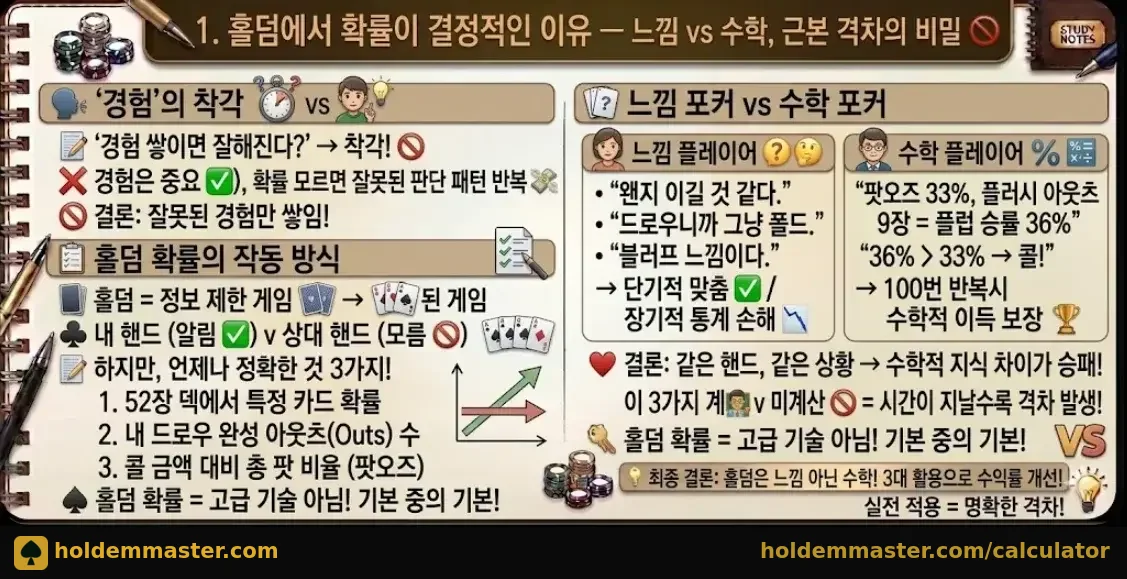 홀덤 확률이 결정적인 이유 — 느낌 vs 수학, 근본 격차의 비밀 인포그래픽